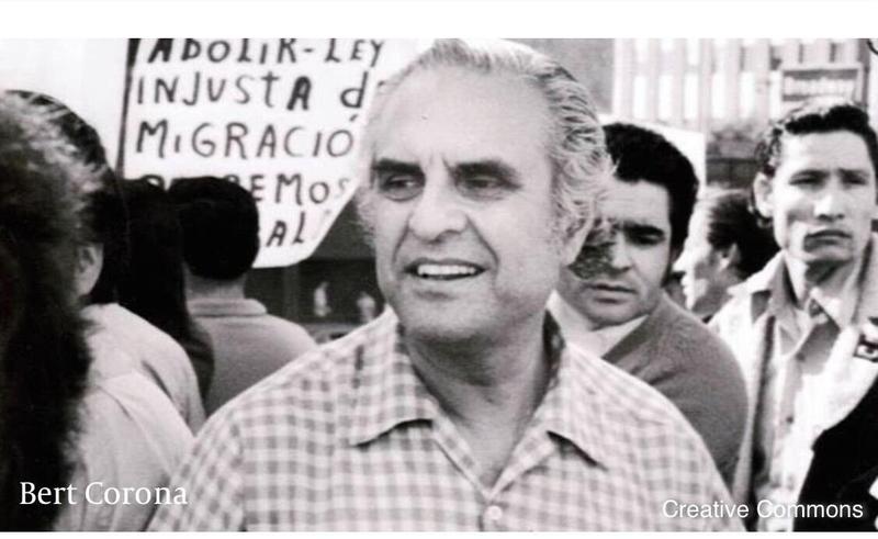 Bert Corona