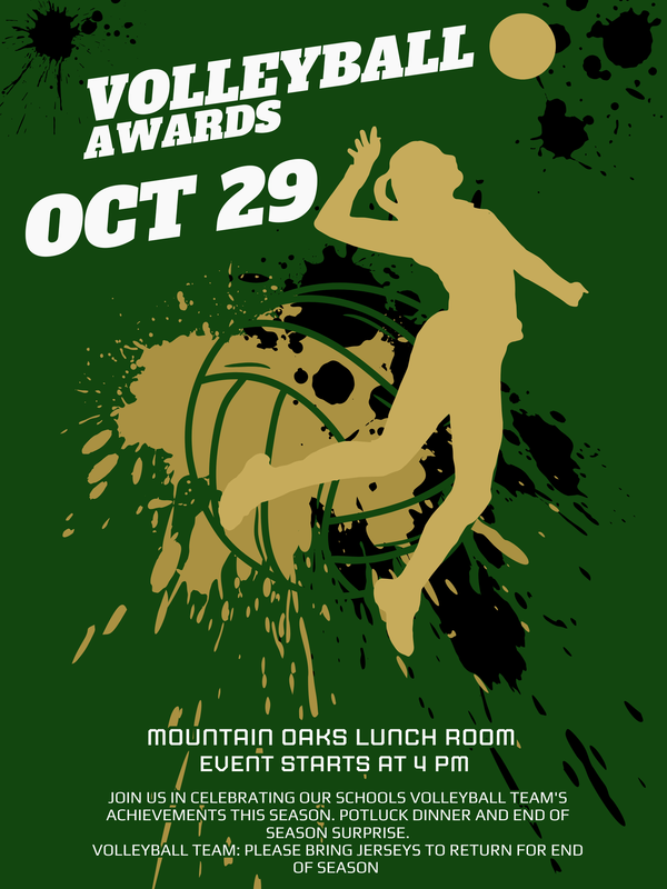Volleyball Awards Flyer