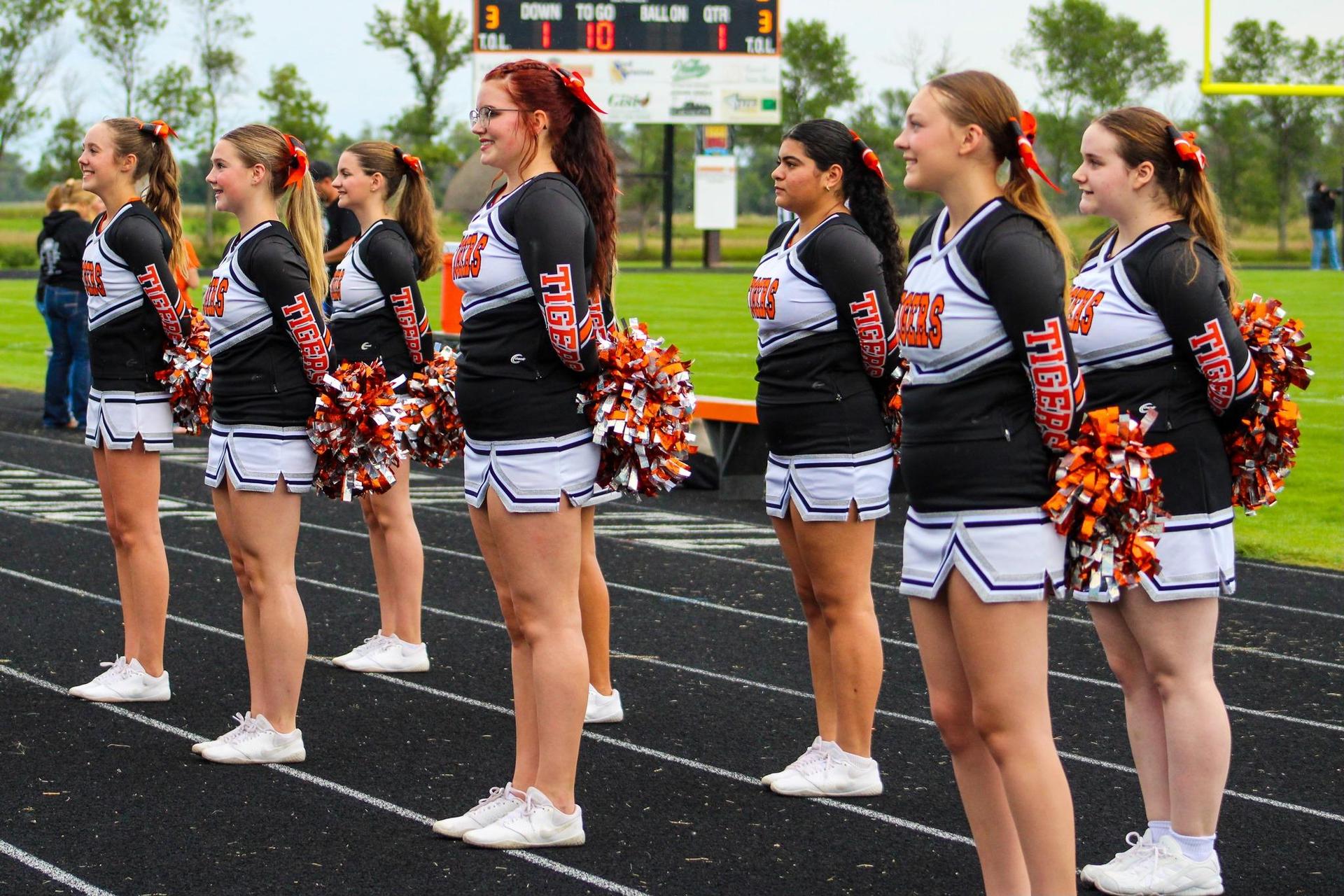 Football cheerleaders cheering at the game