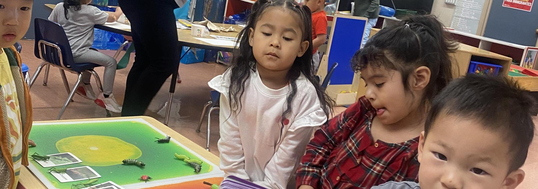 Students and Science Activities