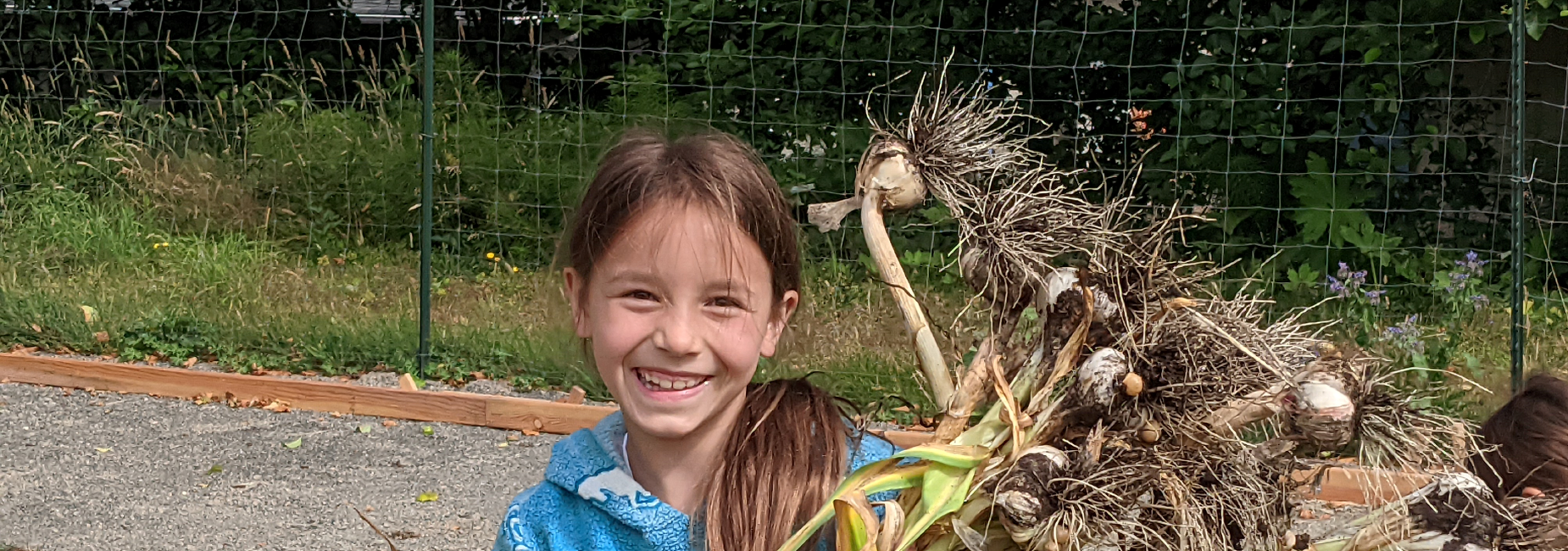 smiling garlic harvest