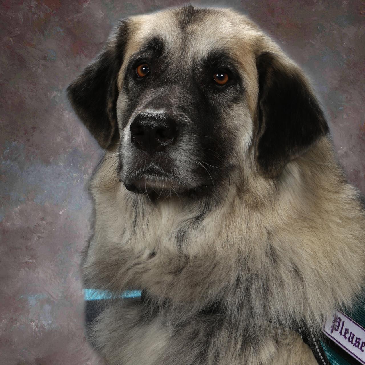 WillowBrown's Profile Photo