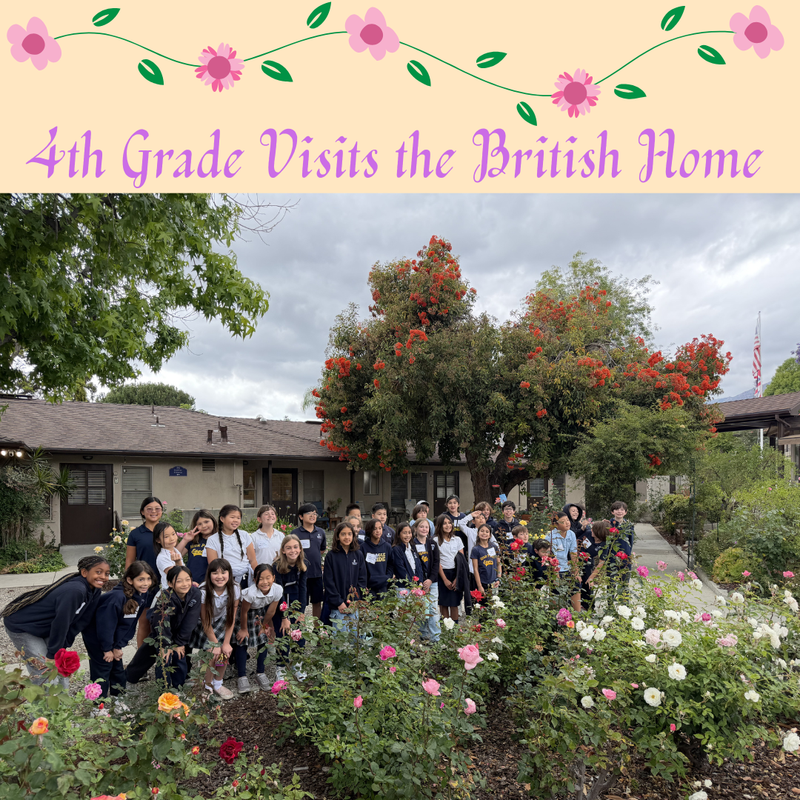 British Home