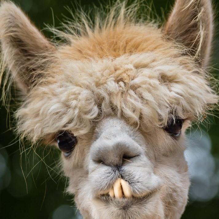 SaraPittson's Profile Photo