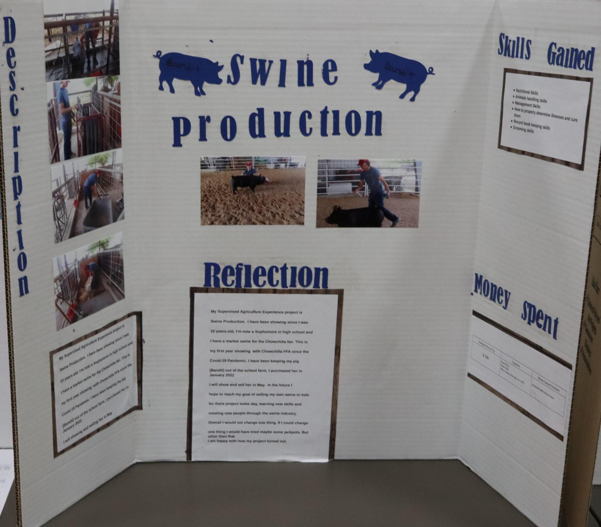 A Supervised Agricultural Experience trifold display