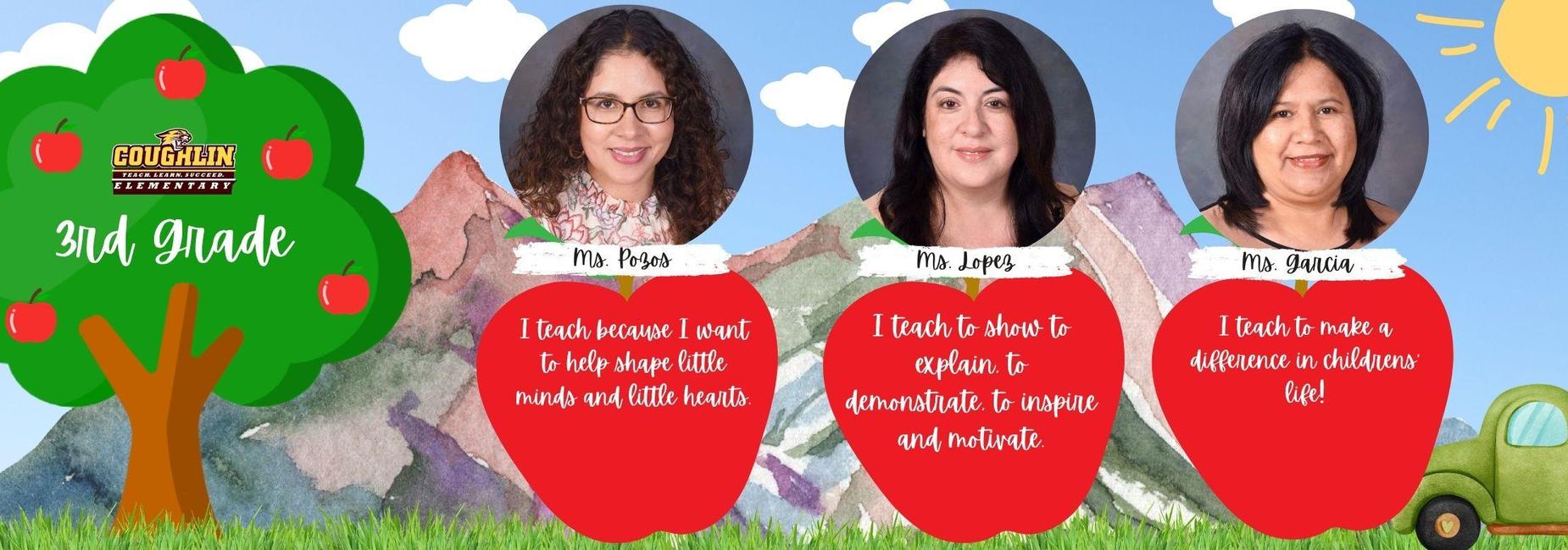 3rd Grade Teachers