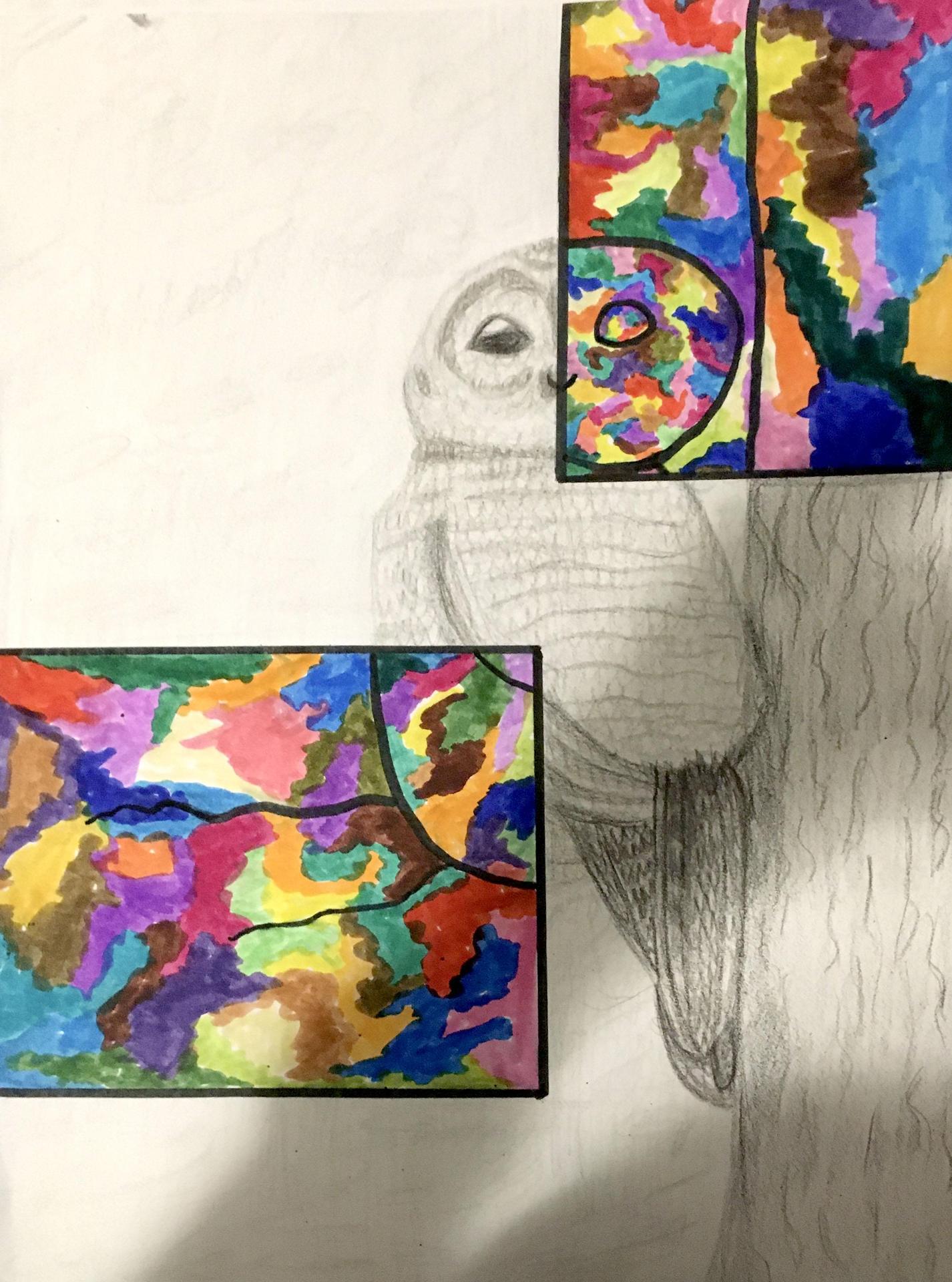 owl