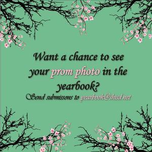 Prom Pictures.jpg