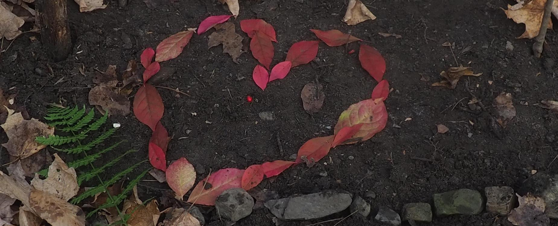 Heart made with leaves