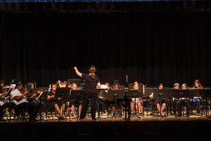 The orchestra performs