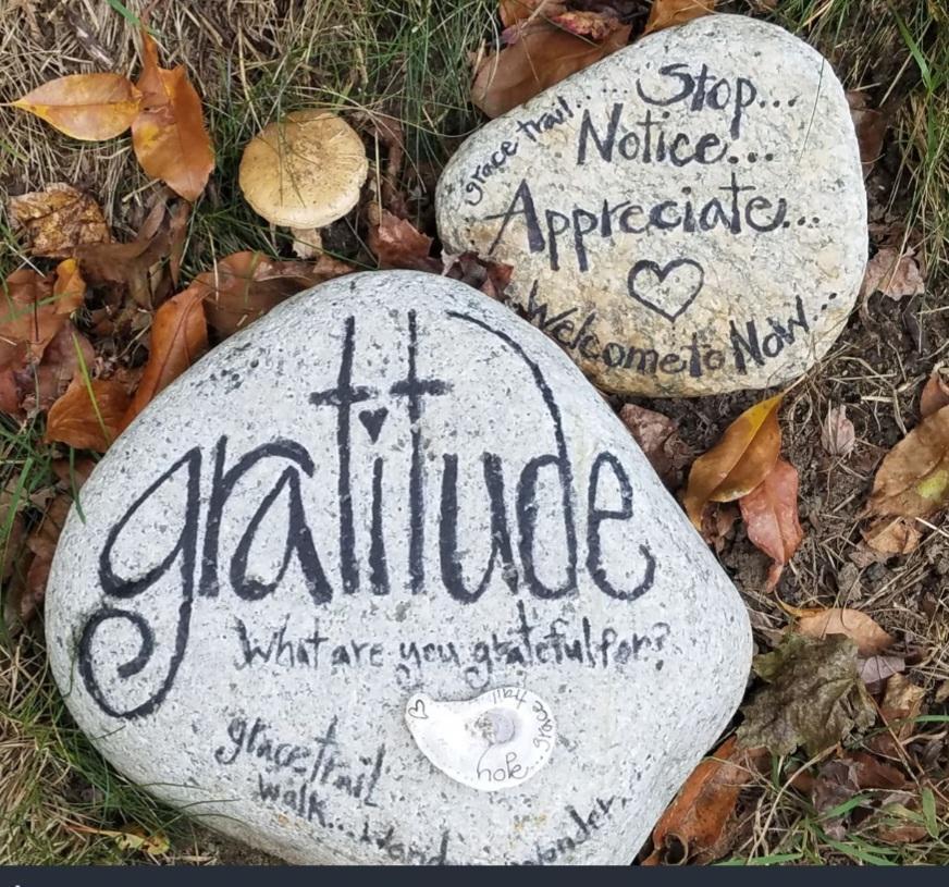 Gratitude
