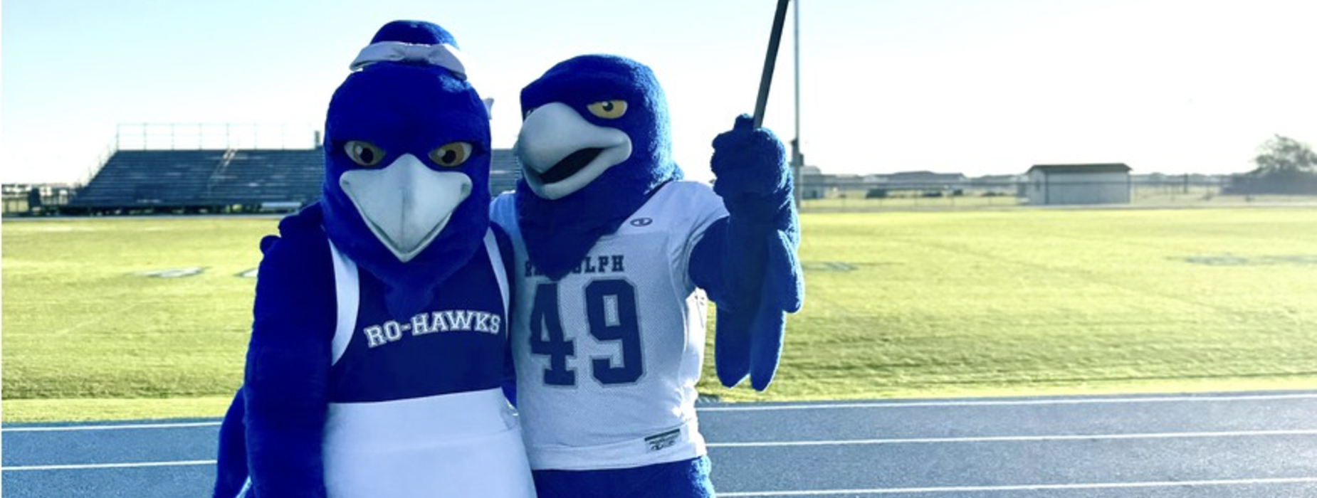 RoHawk Mascot