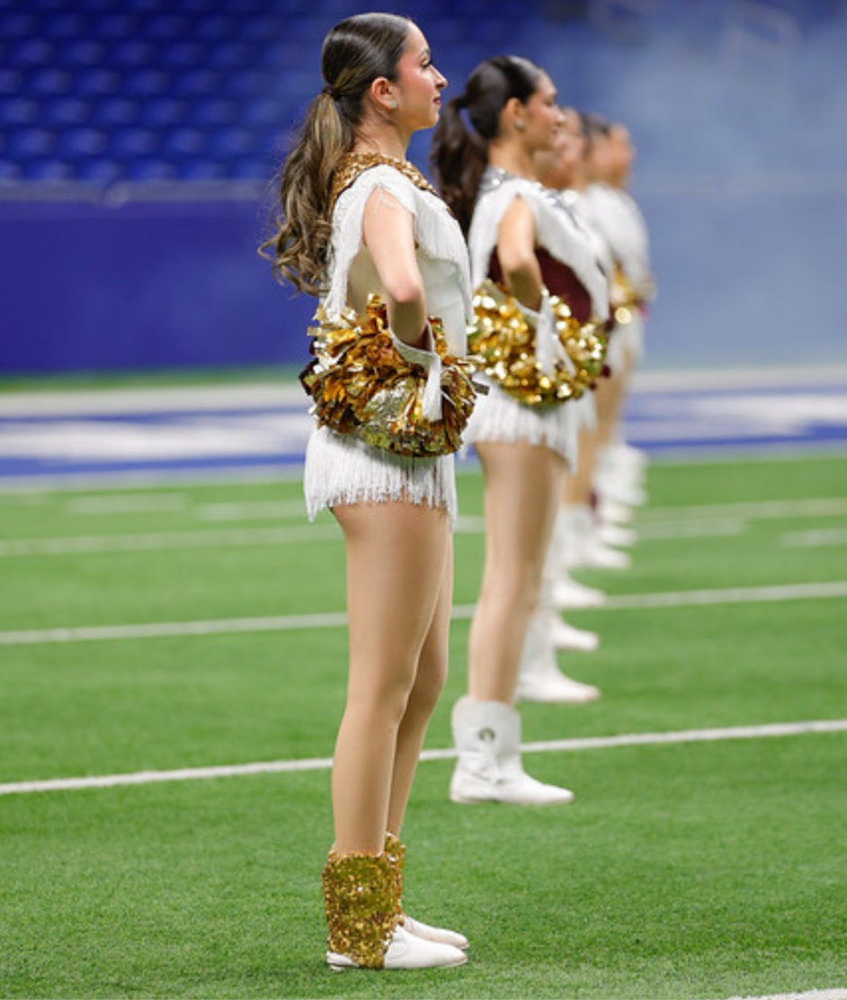 Stars - on the alamo dome