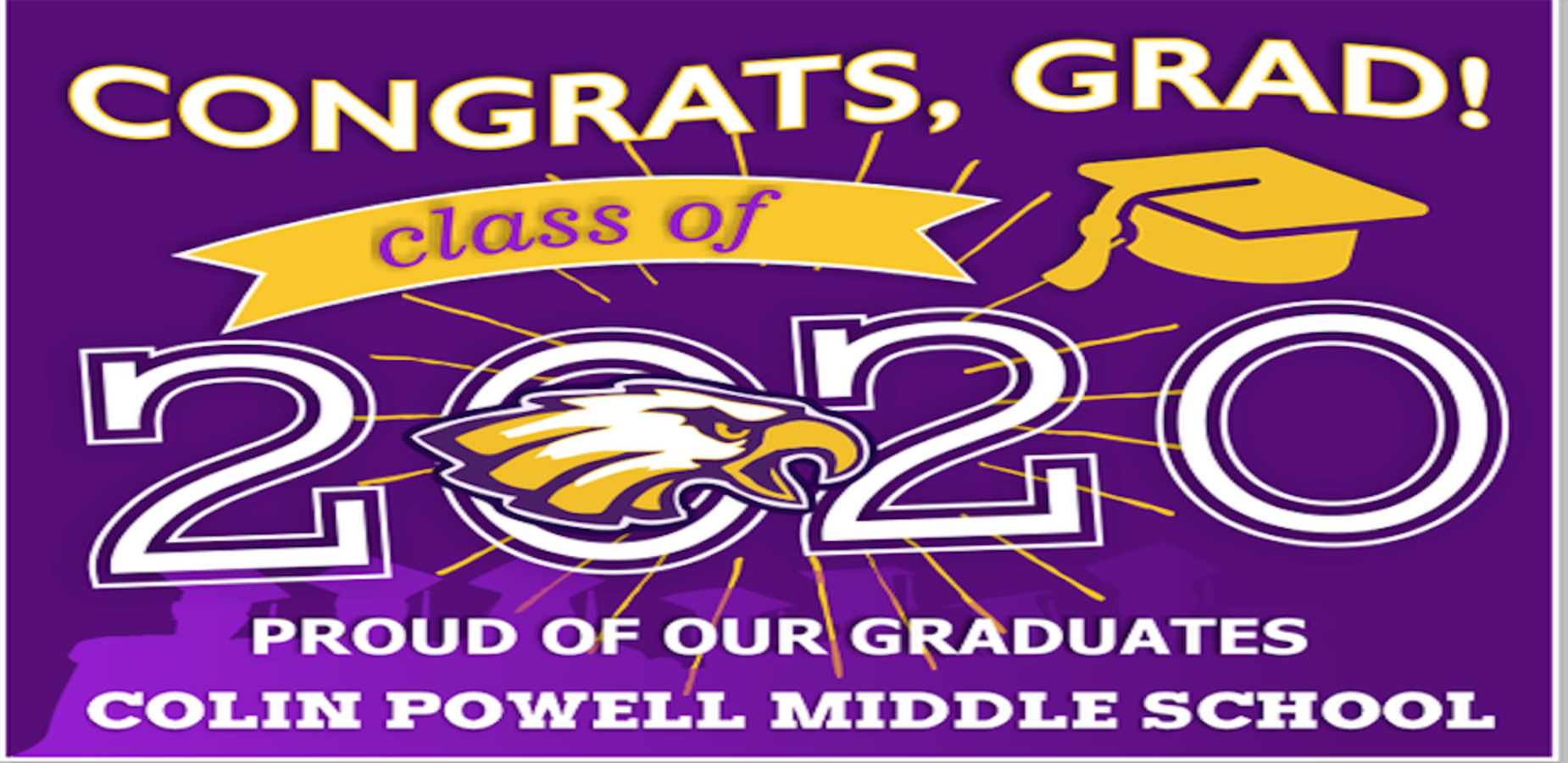 Elementary School District 159