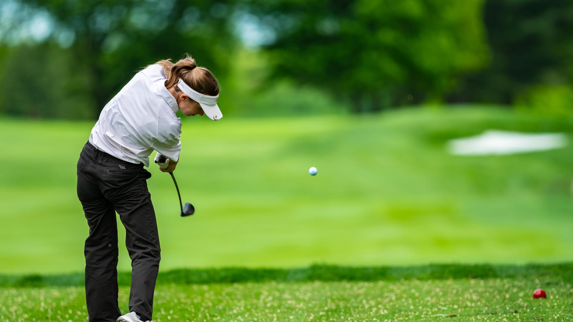 Homepage Shuffle Gallery 25