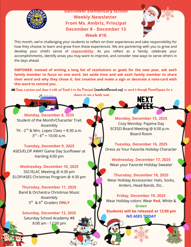 Sunflower Newsletter Week 16