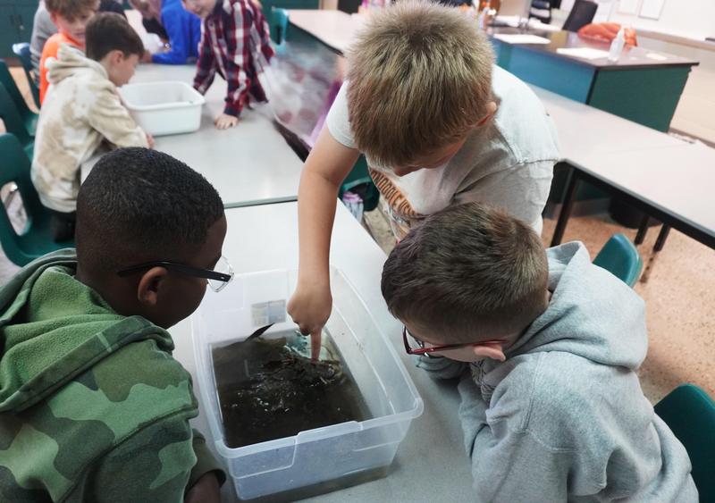 Three students look closely in their water sample for insects.