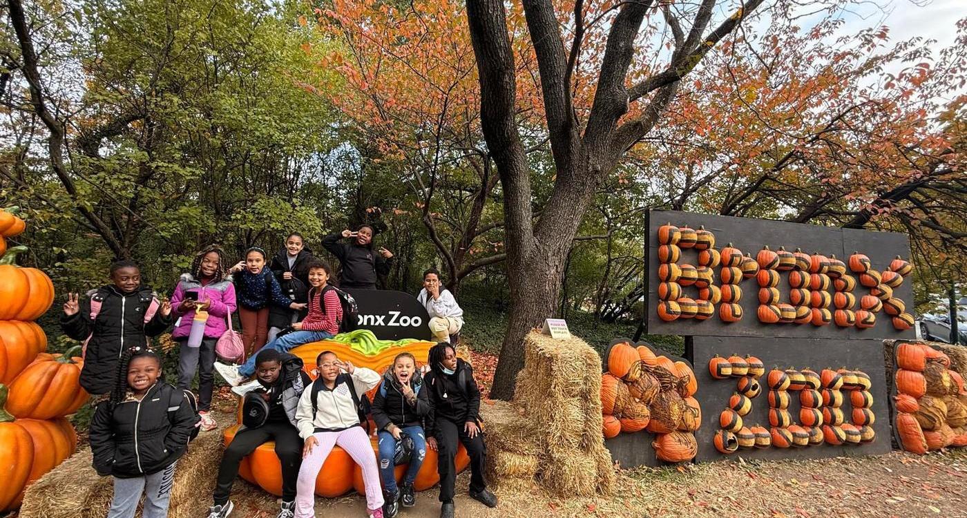 Bronx Zoo