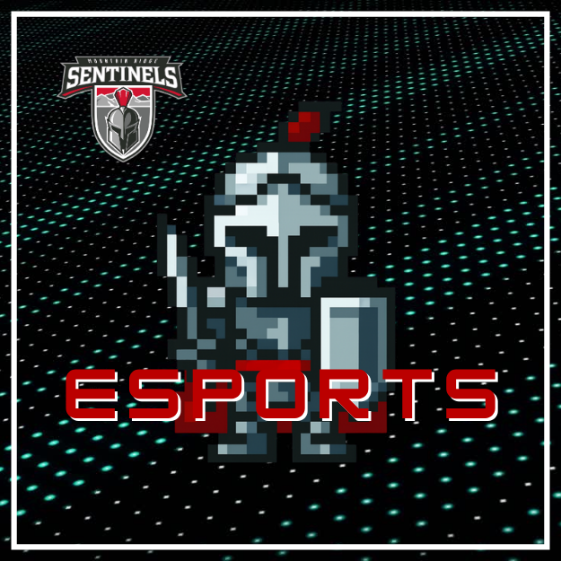 8 bit pixelated Sentinel