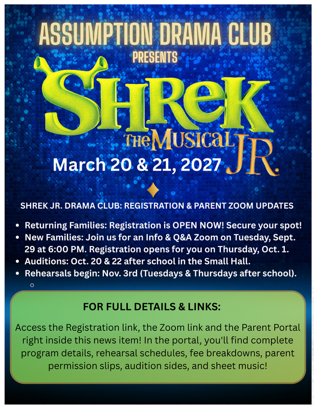 shrek flyer