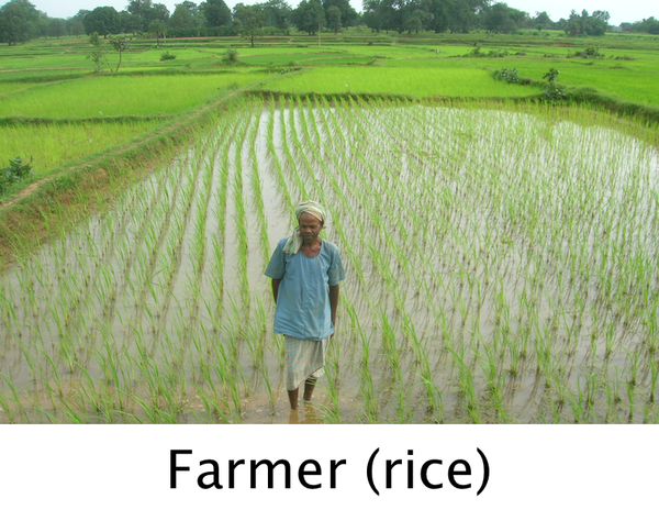 Farmer (rice).png