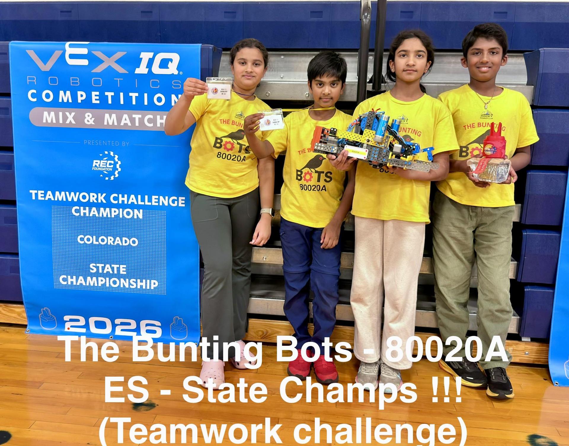 Elementary robotics team