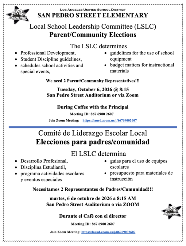 LSLC Election Flyer