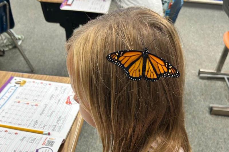 Lydia Mellon sits very still so she doesn’t disturb the butterfly on her head