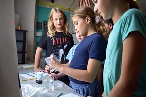 A group of children conducting a science experiment with water and ingredients at a table.