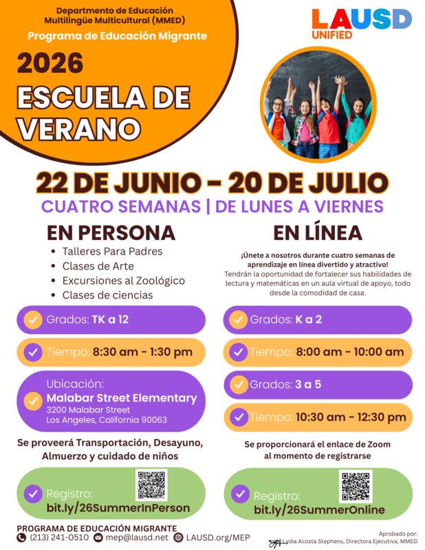 MEP Summer School Flyer 2026-2.png
