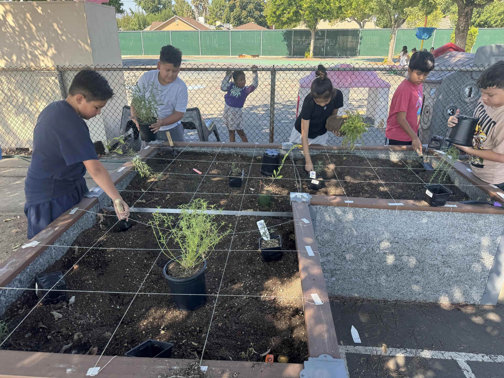 Lorne's Monarch Butterfly Sanctuary Garden
