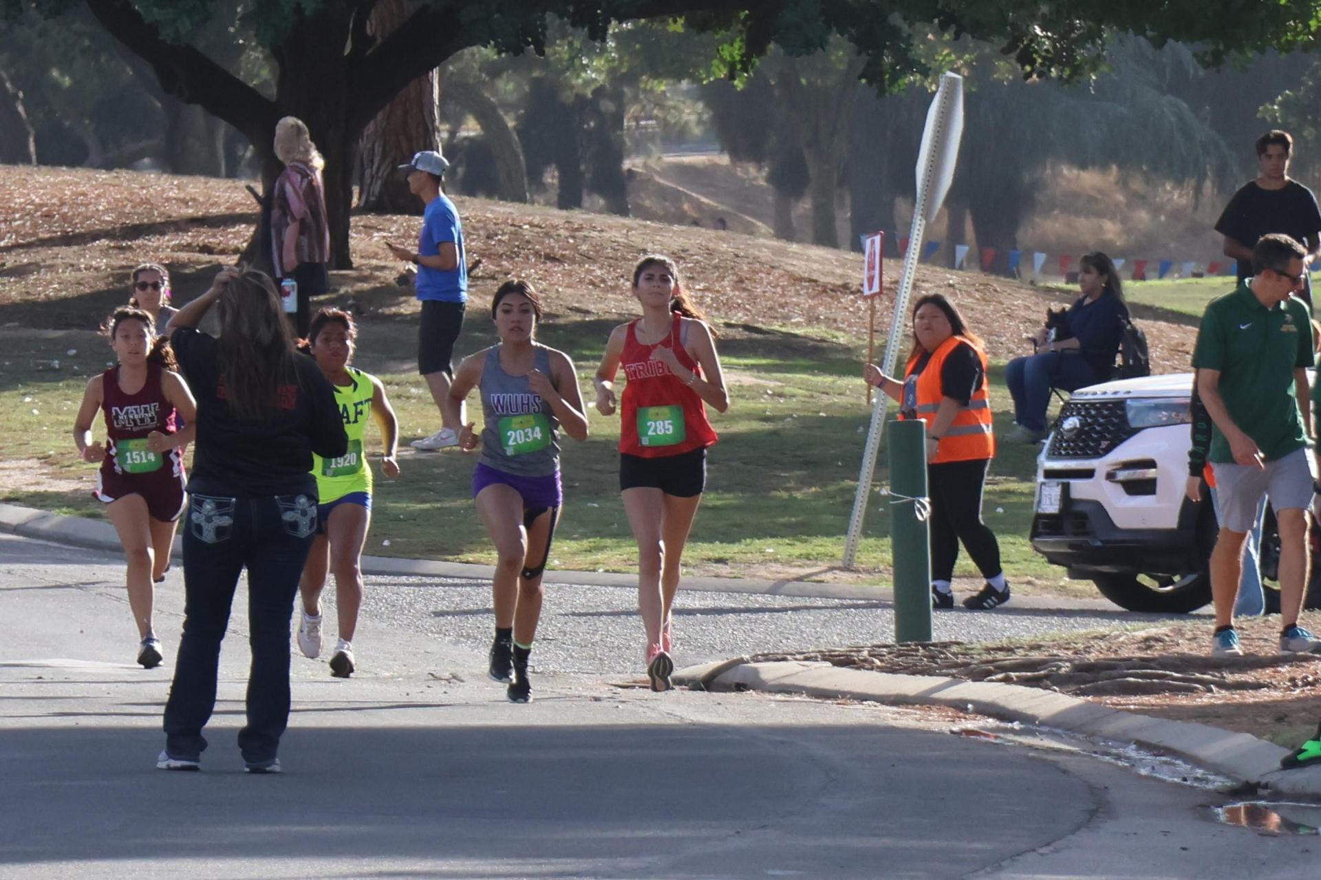 cross country runners in action