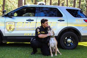 Detective DeMoll and Hercules