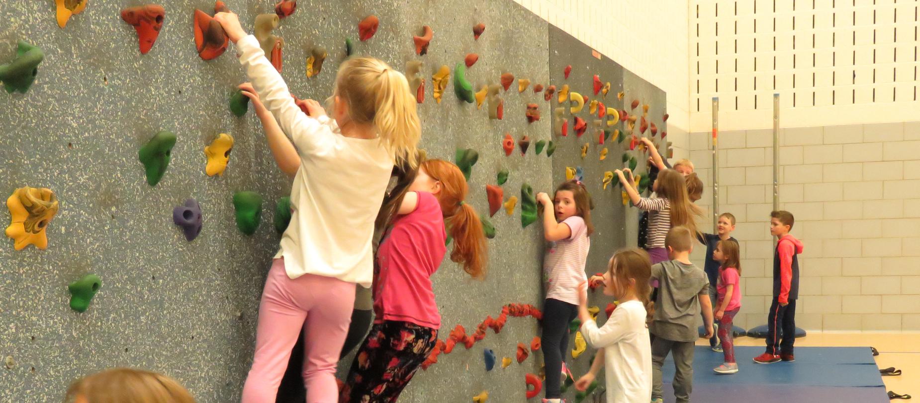 Climbing Wall