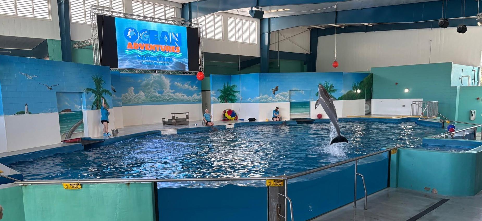 Marine Ocean Adventure