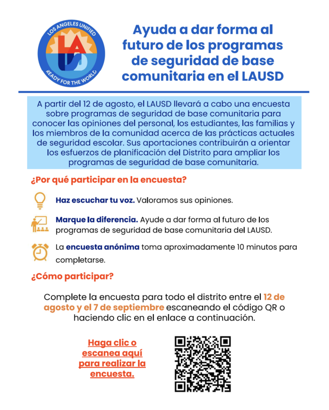 Survey Spanish