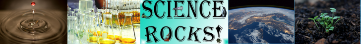This image shows science icons that represent what we will cover in science this year.