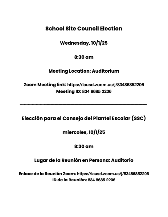 Election flyer