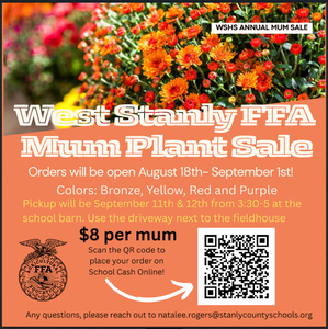 WSHS FFA Mum Plant sale