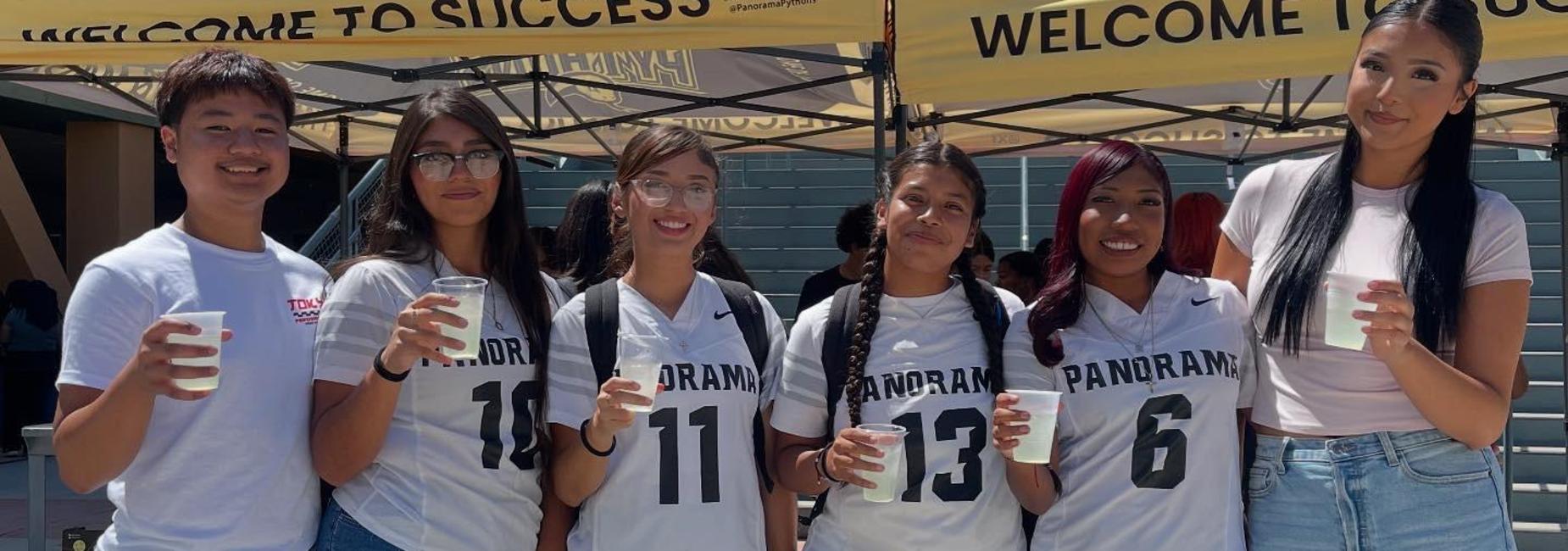 National Lemonade Day