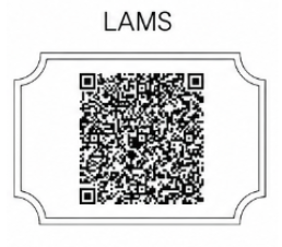 LAMS