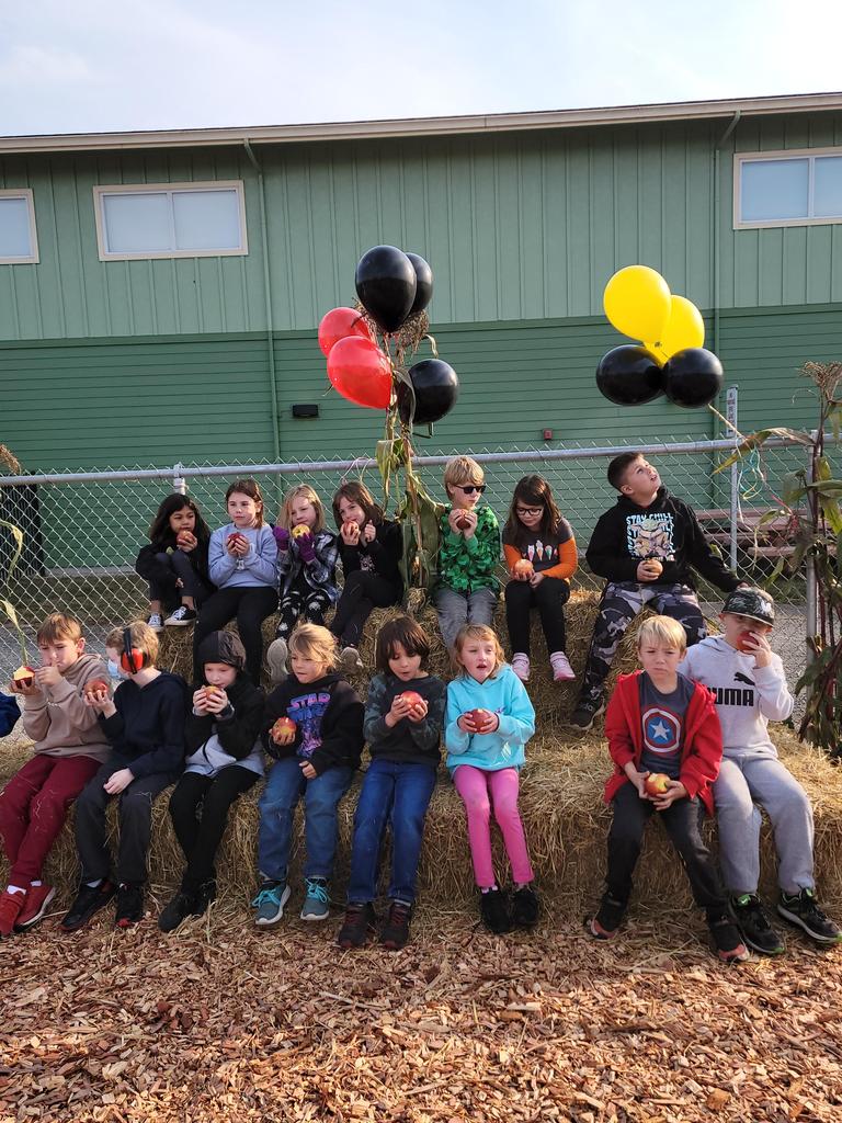 picture of apple crunch picture