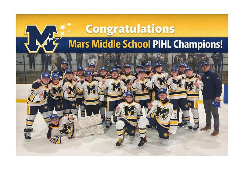 a large group of hockey players posing for a picture