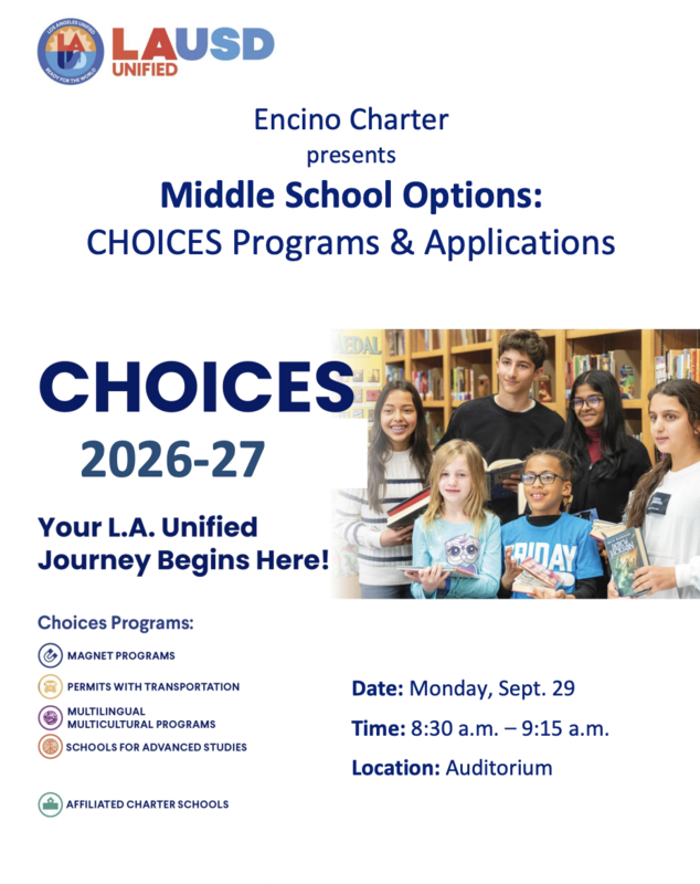 MS Options Flyer