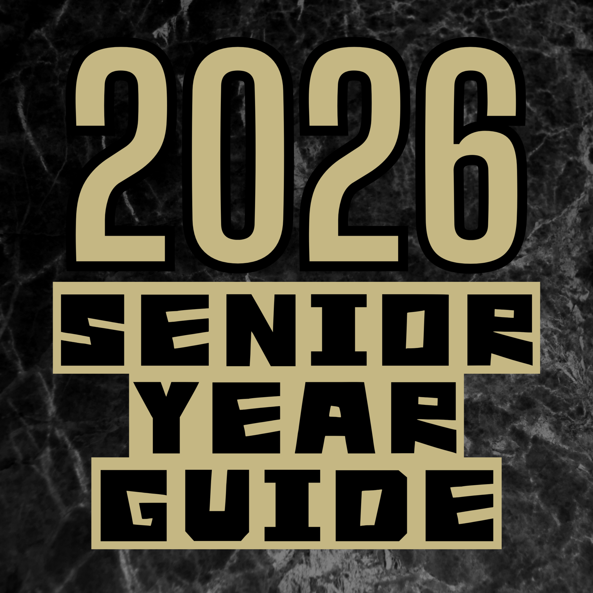 Senior Year Guide
