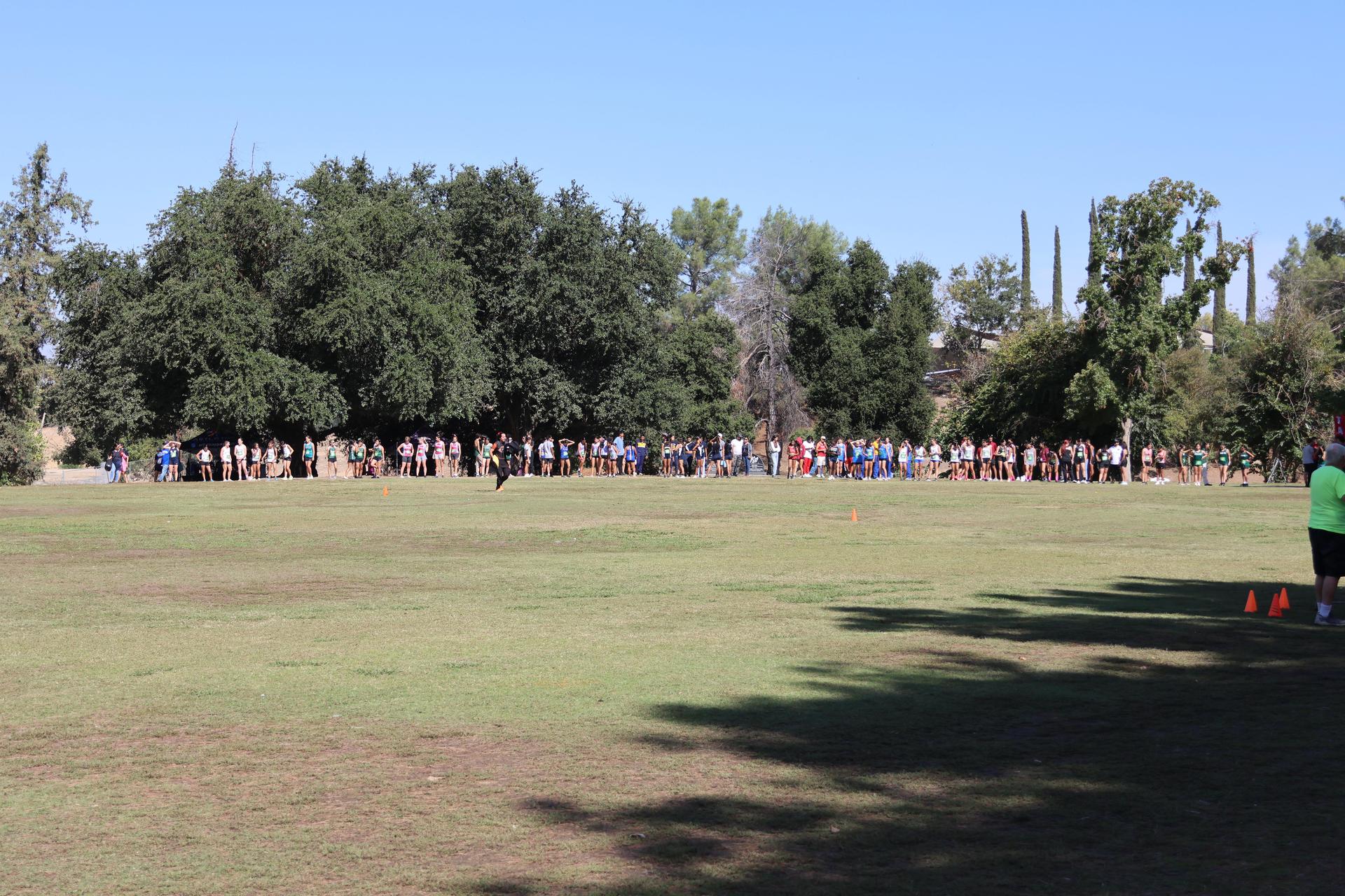 cross country runners in action