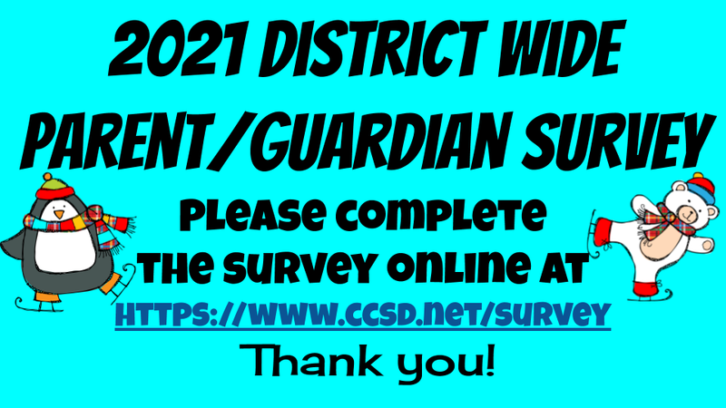 2021 District Wide Parent/Guardian Survey Thumbnail Image