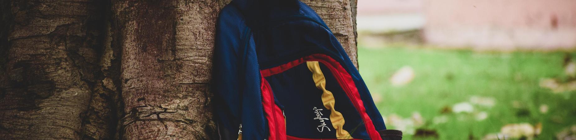 Blue backpack leaning against a tree