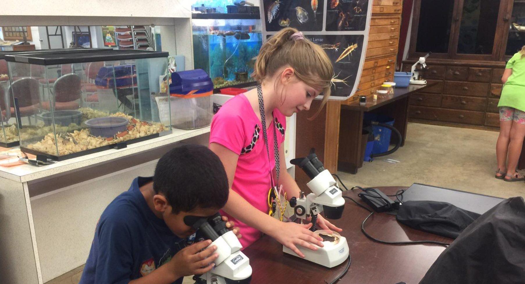 Students looking in microscopes.