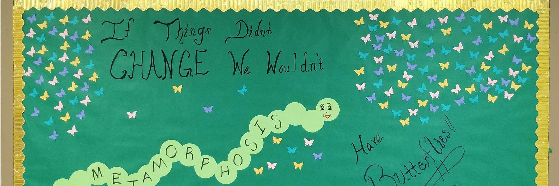 Metamorphosis Board